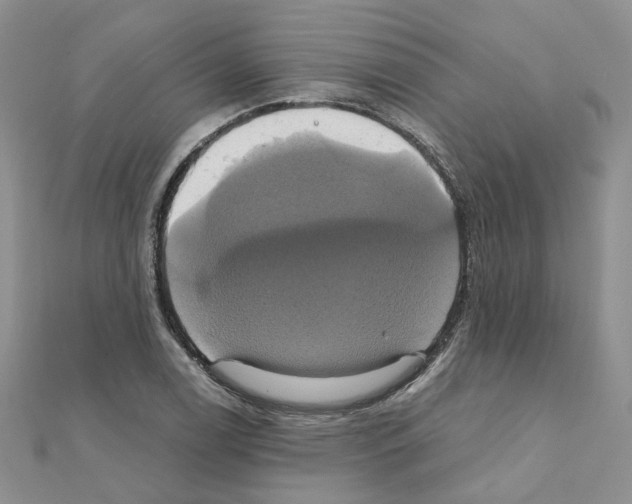 X0000110991122200907311004