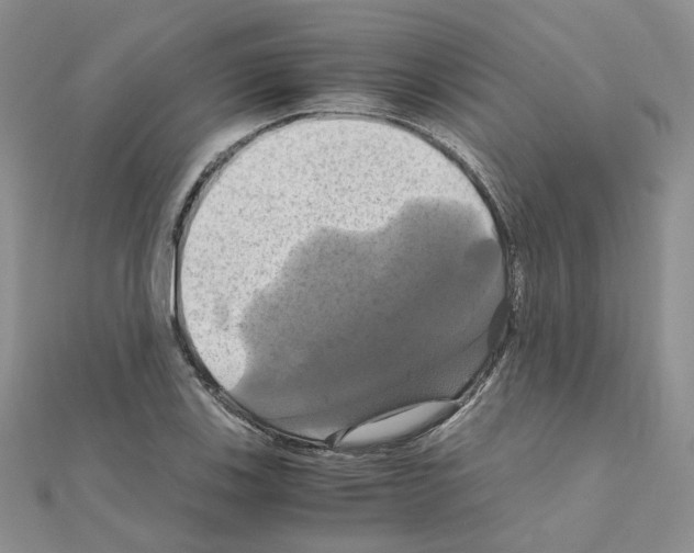 X0000110991123200907311004
