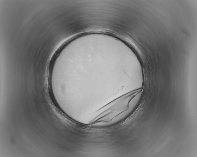 X0000110991124200907311004