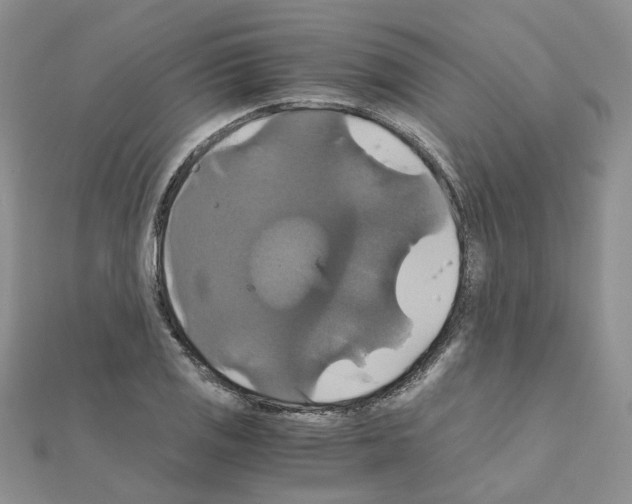 X0000110991125200907311004