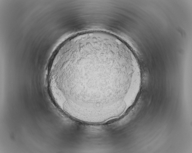 X0000110991126200907311004