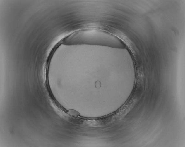 X0000110991128200907311004