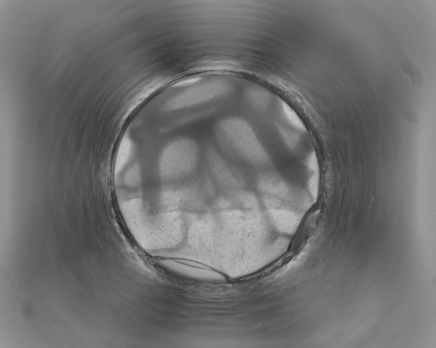 X0000110991129200907311004