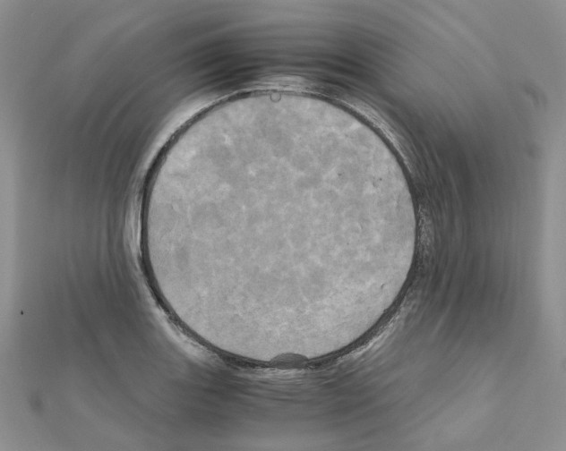 X0000110991131200907311004