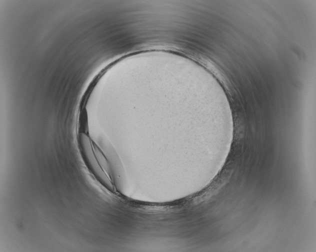 X0000110991132200907311004