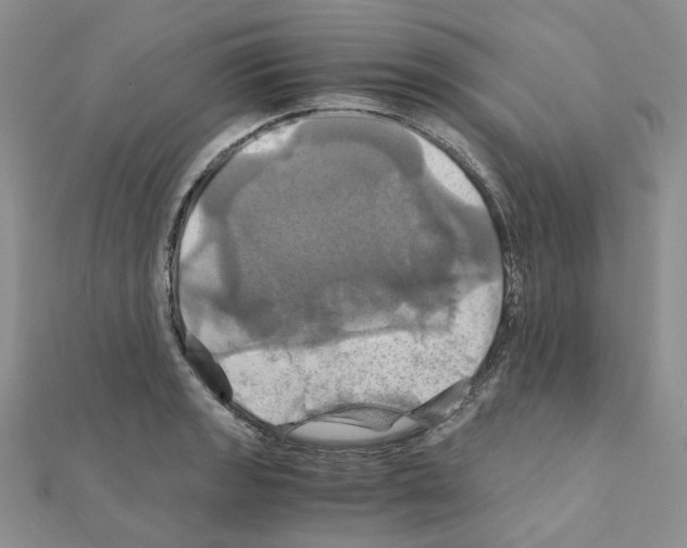 X0000110991133200907311004