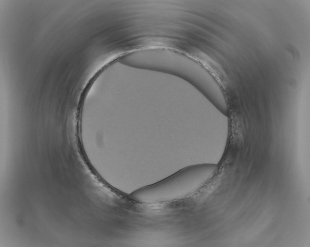 X0000110991134200907311004