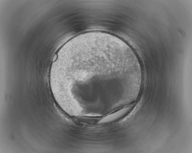 X0000110991137200907311004