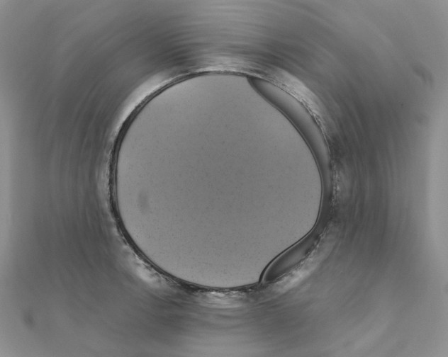 X0000110991138200907311004