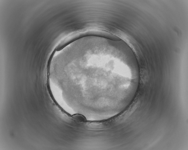 X0000110991140200907311004
