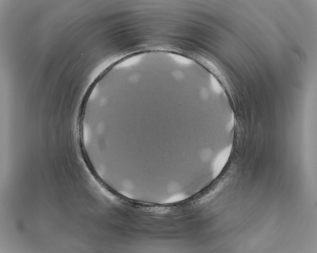 X0000110991141200907311004