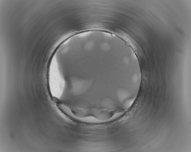 X0000110991142200907311004