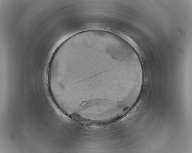 X0000110991144200907311004