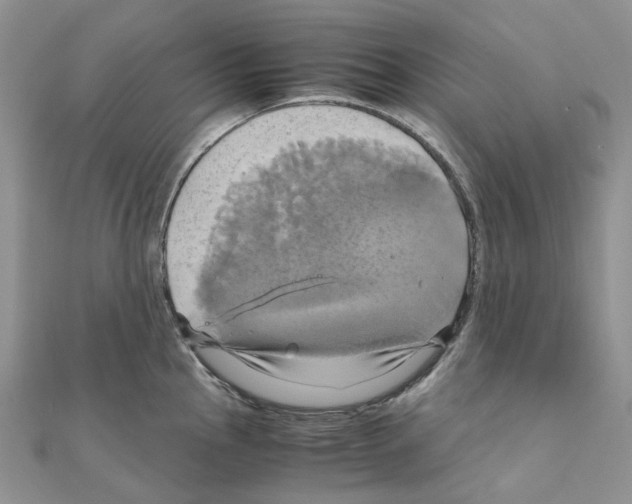 X0000110991145200907311004
