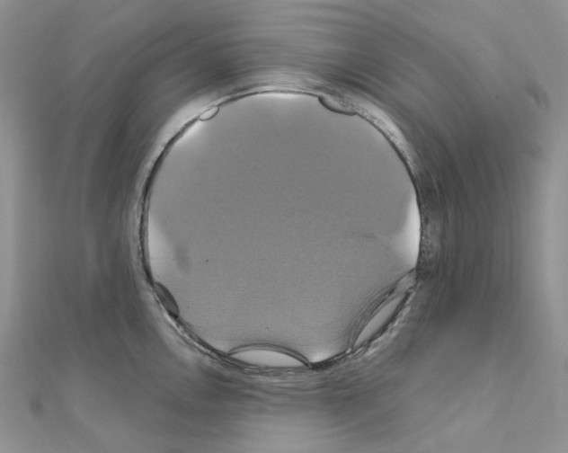 X0000110991146200907311004