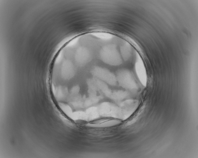 X0000110991149200907311004