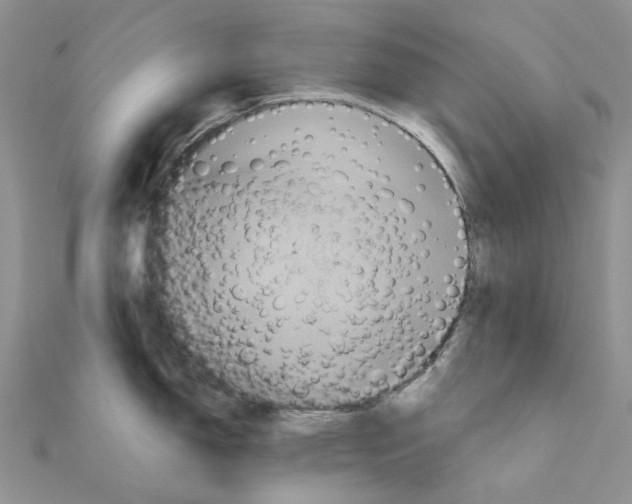 X0000110991150200907311004