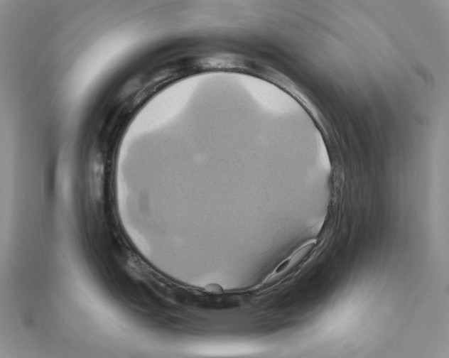 X0000110991151200907311004
