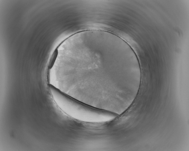 X0000110991152200907311004