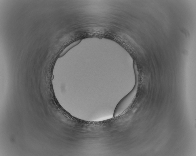 X0000110991153200907311004