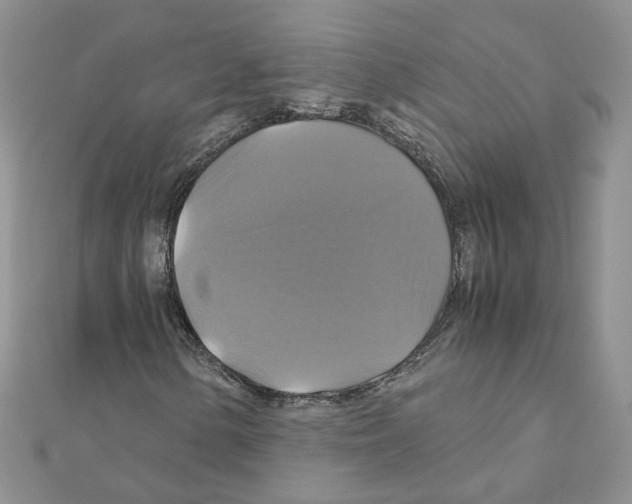 X0000110991154200907311004