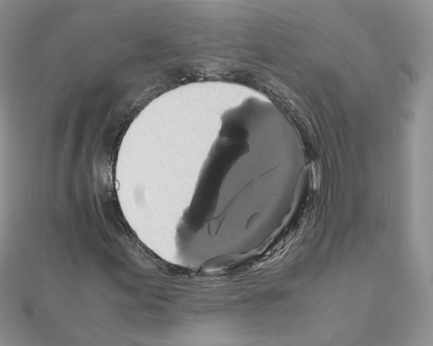 X0000110991155200907311004