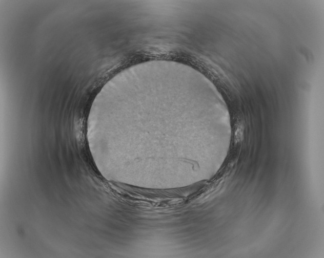 X0000110991156200907311004