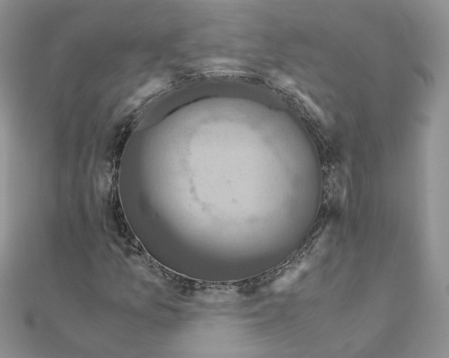 X0000110991157200907311004