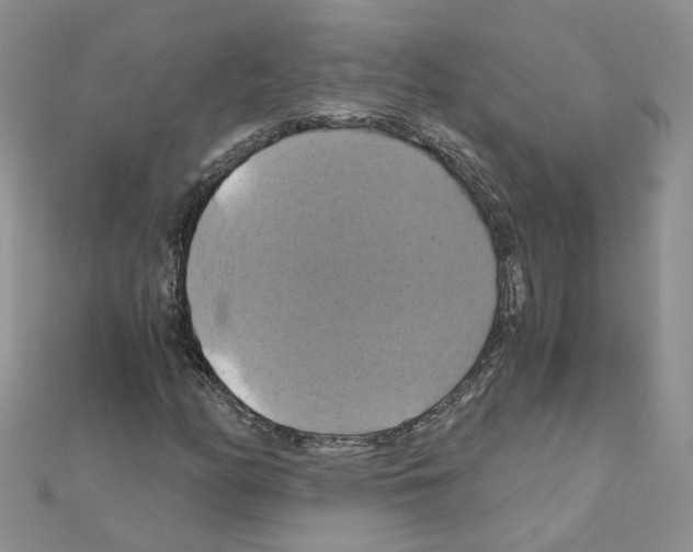 X0000110991158200907311004