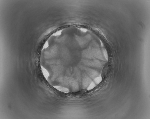 X0000110991159200907311004