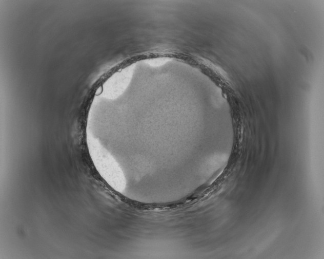 X0000110991160200907311004