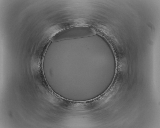X0000110991161200907311004