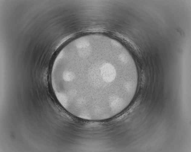 X0000110991162200907311004