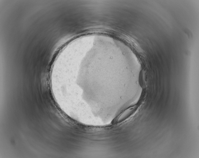 X0000110991164200907311004