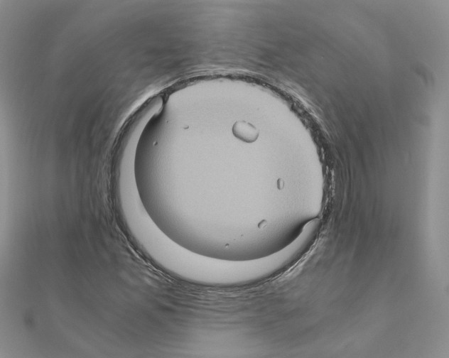 X0000110991165200907311004