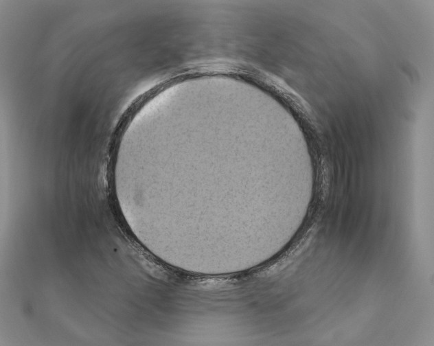 X0000110991166200907311004