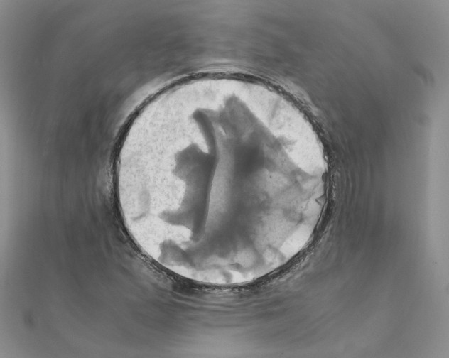 X0000110991167200907311004