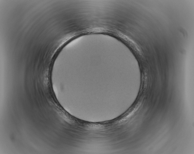 X0000110991170200907311003
