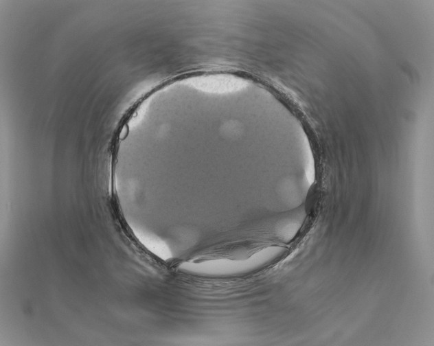 X0000110991171200907311003