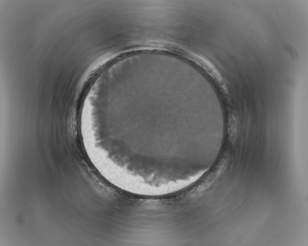 X0000110991172200907311003