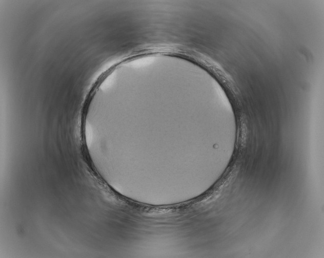 X0000110991174200907311003