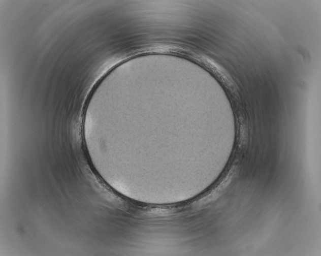 X0000110991178200907311003