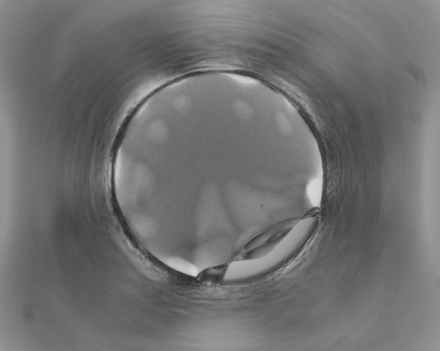 X0000110991179200907311003