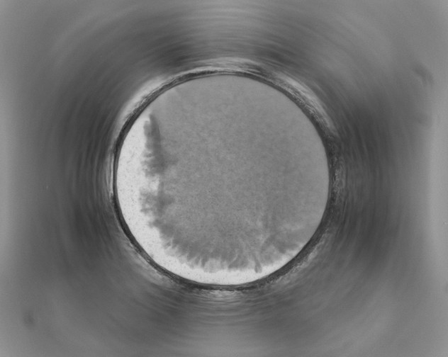 X0000110991180200907311003