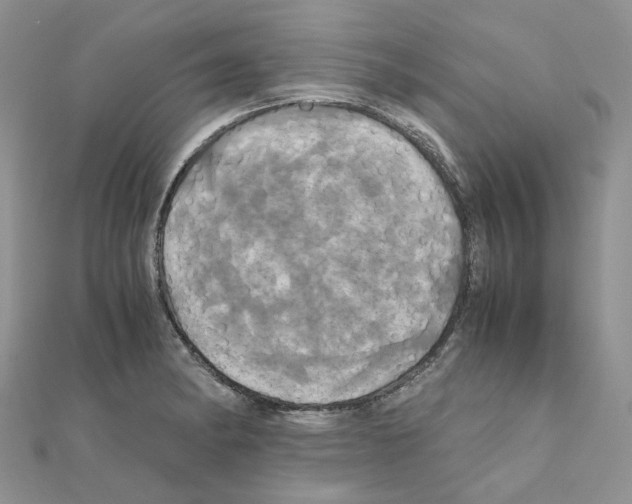 X0000110991182200907311003