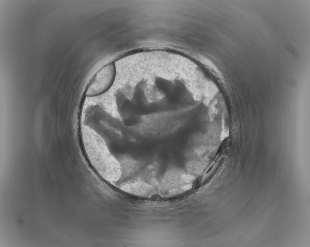 X0000110991183200907311003