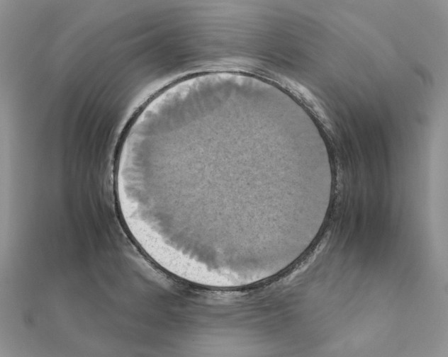 X0000110991184200907311003