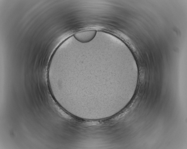 X0000110991186200907311003