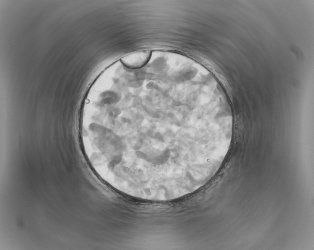 X0000110991187200907311003