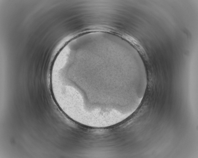X0000110991188200907311003